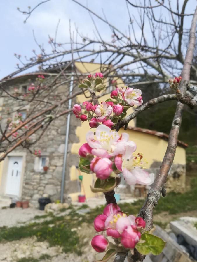 Skalameri Kozljak Exterior foto